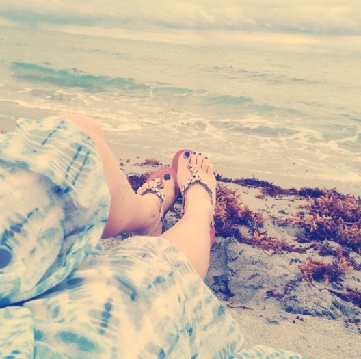 The Ocean & The Butterfly
